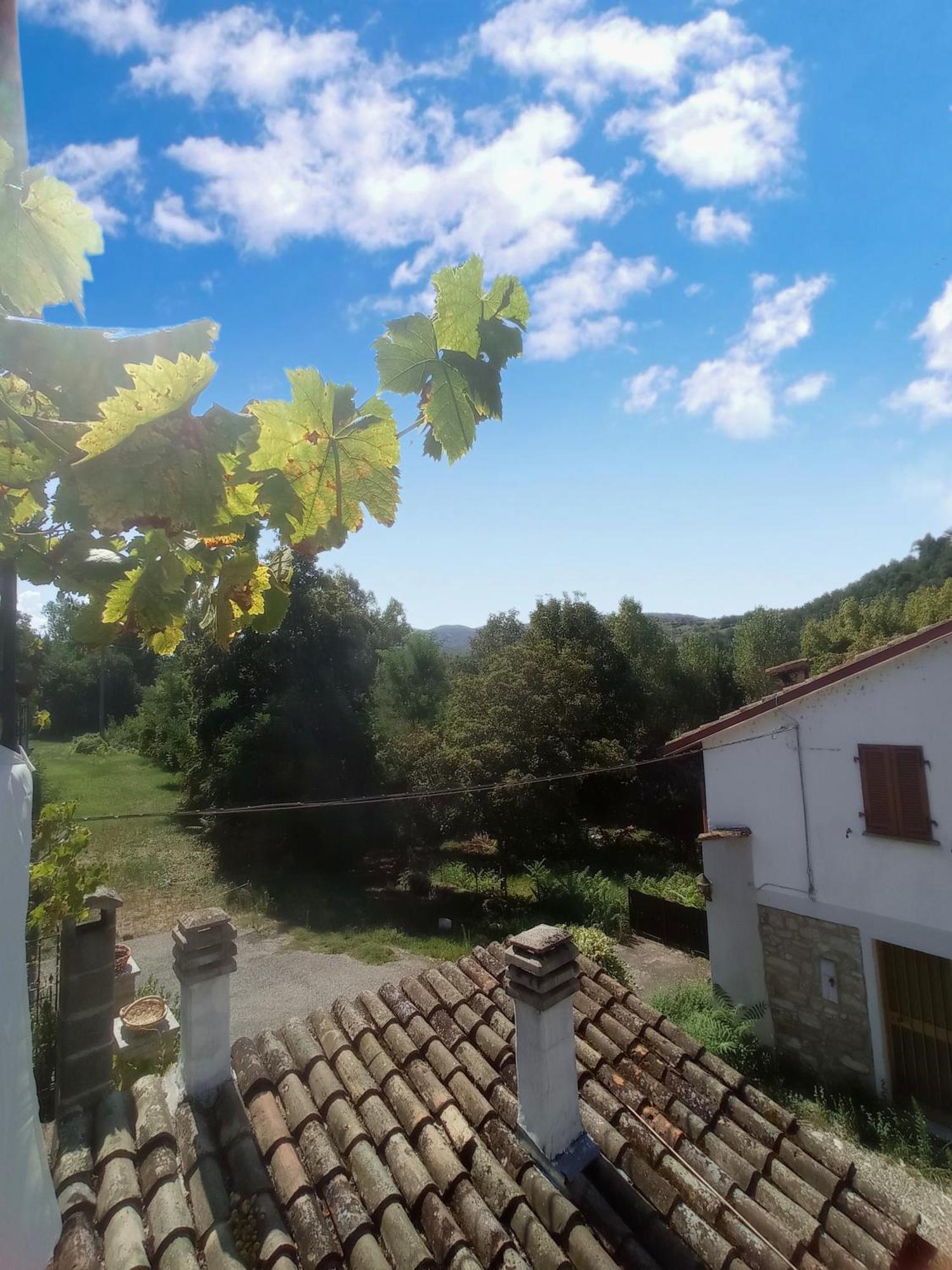 Dulcius Ex Asperis Bed & Breakfast Ponte Nizza Exterior foto